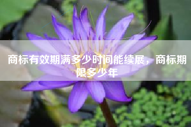 商标有效期满多少时间能续展，商标期限多少年