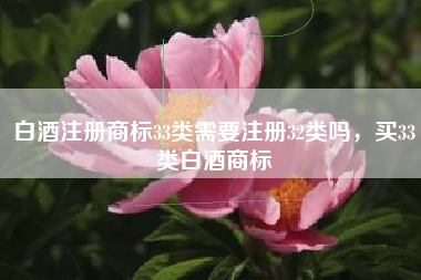 白酒注册商标33类需要注册32类吗，买33类白酒商标