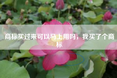 商标买过来可以马上用吗，我买了个商标