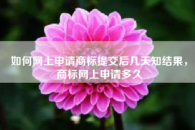 如何网上申请商标提交后几天知结果，商标网上申请多久