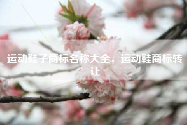 运动鞋子商标名称大全，运动鞋商标转让
