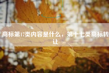 商标第17类内容是什么,第十七类商标转让 商标第17类内容是什么,第十七类商标转让