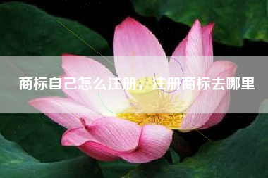 商标自己怎么注册，注册商标去哪里