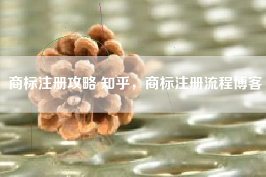 商标注册攻略 知乎，商标注册流程博客