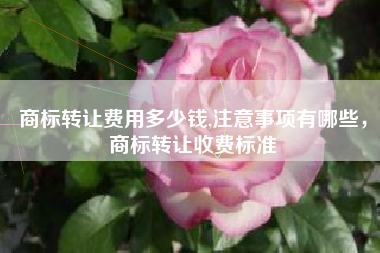 商标转让费用多少钱,注意事项有哪些,商标转让收费标准 商标转让费用多少钱,注意事项有哪些,商标转让收费标准
