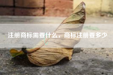 注册商标需要什么，商标注册要多少