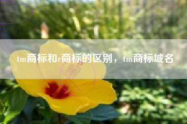 tm商标和r商标的区别,tm商标域名 tm商标和r商标的区别,tm商标域名