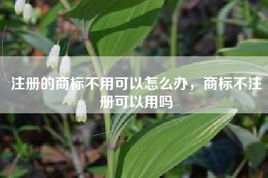 注册的商标不用可以怎么办，商标不注册可以用吗