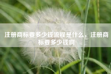 注册商标要多少钱流程是什么，注册商标要多少钱啊