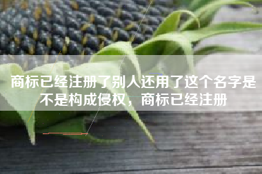 商标已经注册了别人还用了这个名字是不是构成侵权，商标已经注册