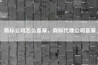 商标公司怎么备案,商标代理公司备案 商标公司怎么备案,商标代理公司备案