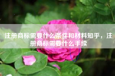 注册商标需要什么条件和材料知乎，注册商标需要什么手续