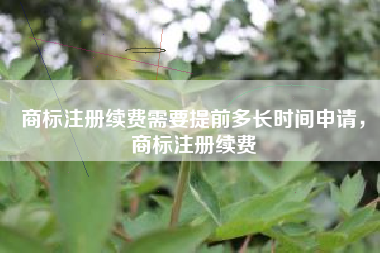 商标注册续费需要提前多长时间申请，商标注册续费