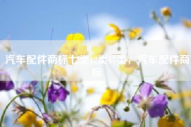 汽车配件商标七类12类17类,汽车配件商标 汽车配件商标七类12类17类,汽车配件商标