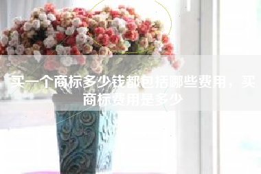 买一个商标多少钱都包括哪些费用，买商标费用是多少