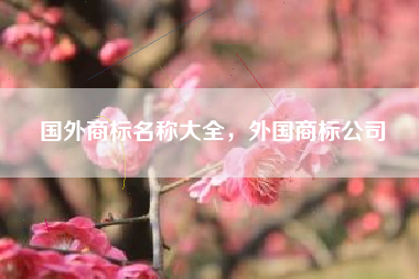 国外商标名称大全，外国商标公司