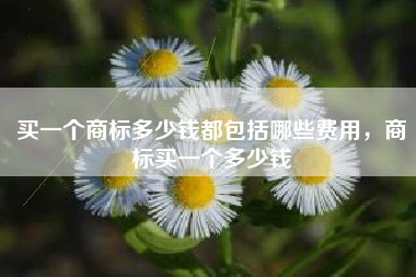 买一个商标多少钱都包括哪些费用，商标买一个多少钱