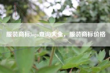 服装商标logo查询大全，服装商标价格