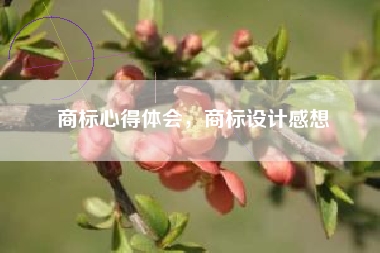 商标心得体会，商标设计感想