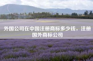 外国公司在中国注册商标多少钱，注册国外商标公司