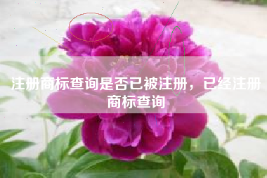 注册商标查询是否已被注册，已经注册商标查询