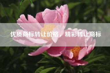 优质商标转让价格，精彩转让商标