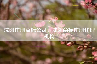 沈阳注册商标公司，沈阳商标注册代理机构