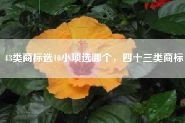 43类商标选10小项选哪个，四十三类商标