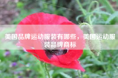 美国品牌运动服装有哪些，美国运动服装品牌商标