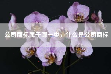 公司商标属于哪一类，什么是公司商标