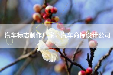 汽车标志制作厂家，汽车商标设计公司
