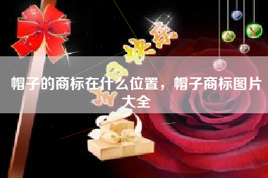 帽子的商标在什么位置，帽子商标图片大全