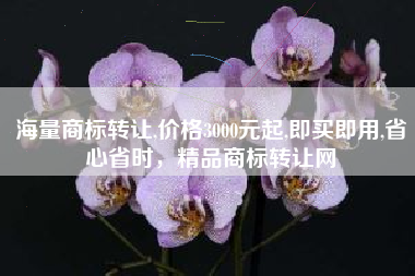 海量商标转让,价格3000元起,即买即用,省心省时，精品商标转让网