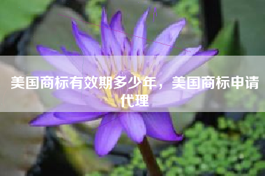 美国商标有效期多少年，美国商标申请代理