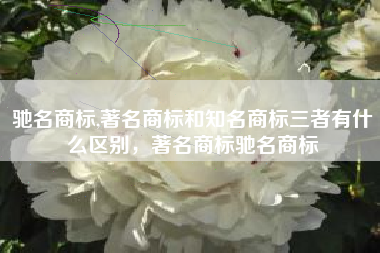 驰名商标,著名商标和知名商标三者有什么区别，著名商标驰名商标