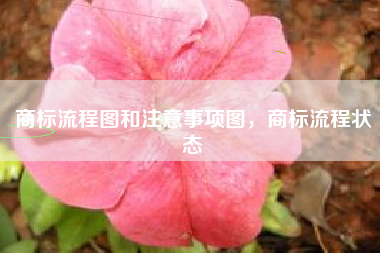 商标流程图和注意事项图，商标流程状态