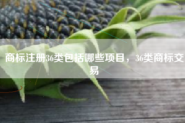 商标注册36类包括哪些项目，36类商标交易