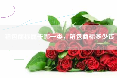 箱包商标属于哪一类，箱包商标多少钱