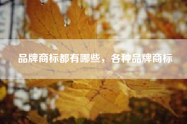 品牌商标都有哪些，各种品牌商标