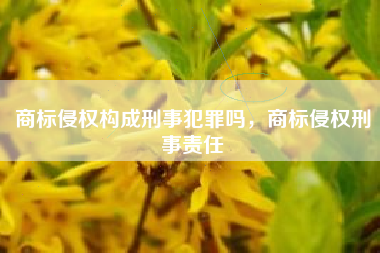 商标侵权构成刑事犯罪吗，商标侵权刑事责任
