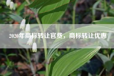 2020年商标转让官费，商标转让优惠