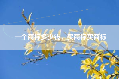 一个商标多少钱，买商标买商标