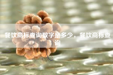 餐饮商标查询数字是多少，餐饮商标查询