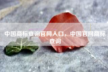 中国商标查询官网入口，中国官网商标查询