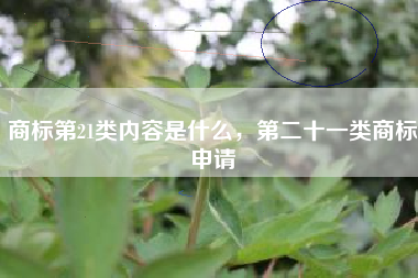 商标第21类内容是什么，第二十一类商标申请
