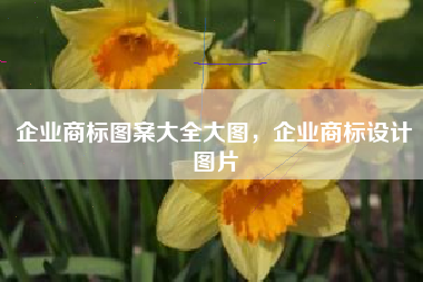 企业商标图案大全大图，企业商标设计图片