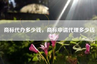 商标代办多少钱，商标申请代理多少钱