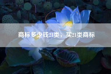商标多少钱21类，买21类商标