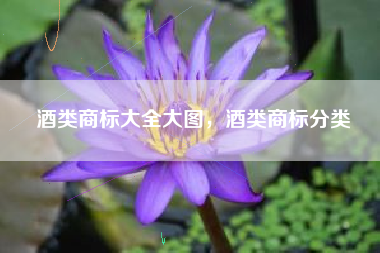 酒类商标大全大图，酒类商标分类
