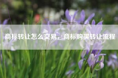 商标转让怎么交易，商标购买转让流程